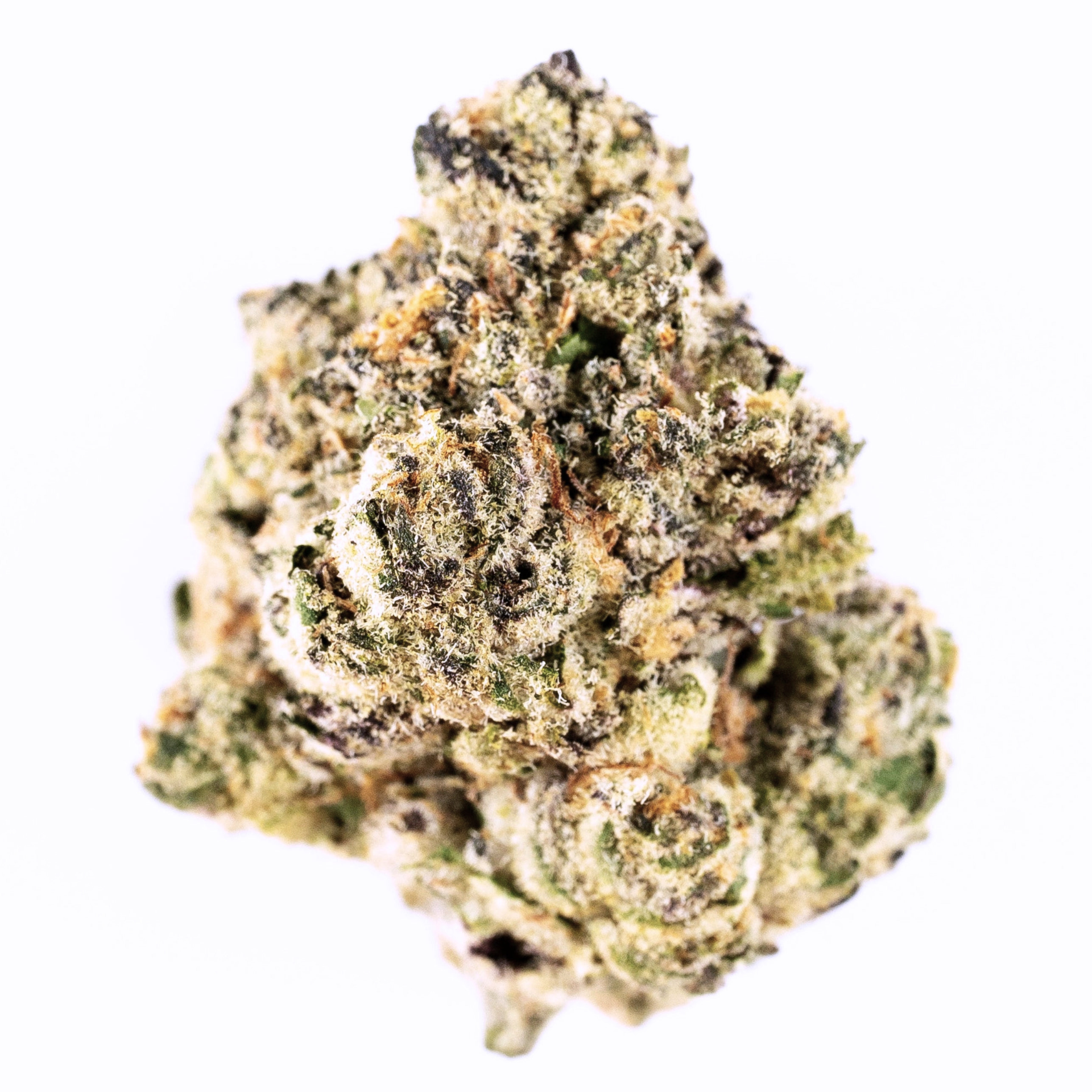 CANDY BREEZE-(animal skittlez x biscotti sherbet)