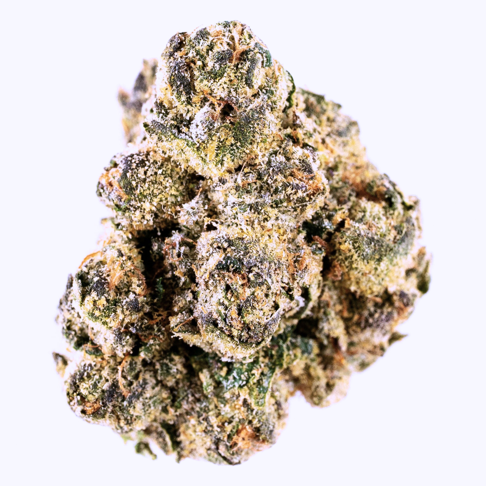 BLUE FIRE RITZ-(blue ritz x runtz)