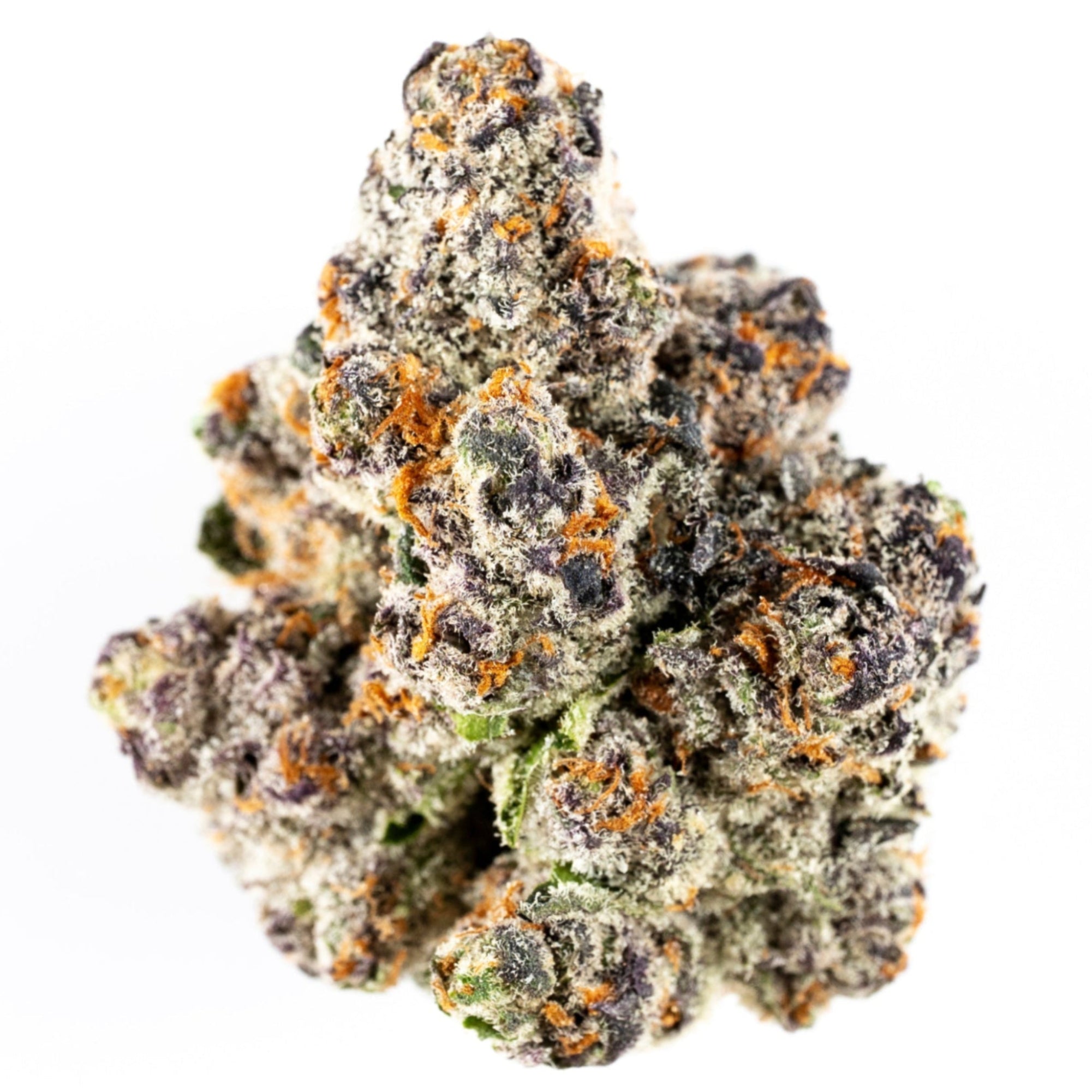 **FRESH DROP** WHITE RUNTZ-(gelato x zkittlez)
