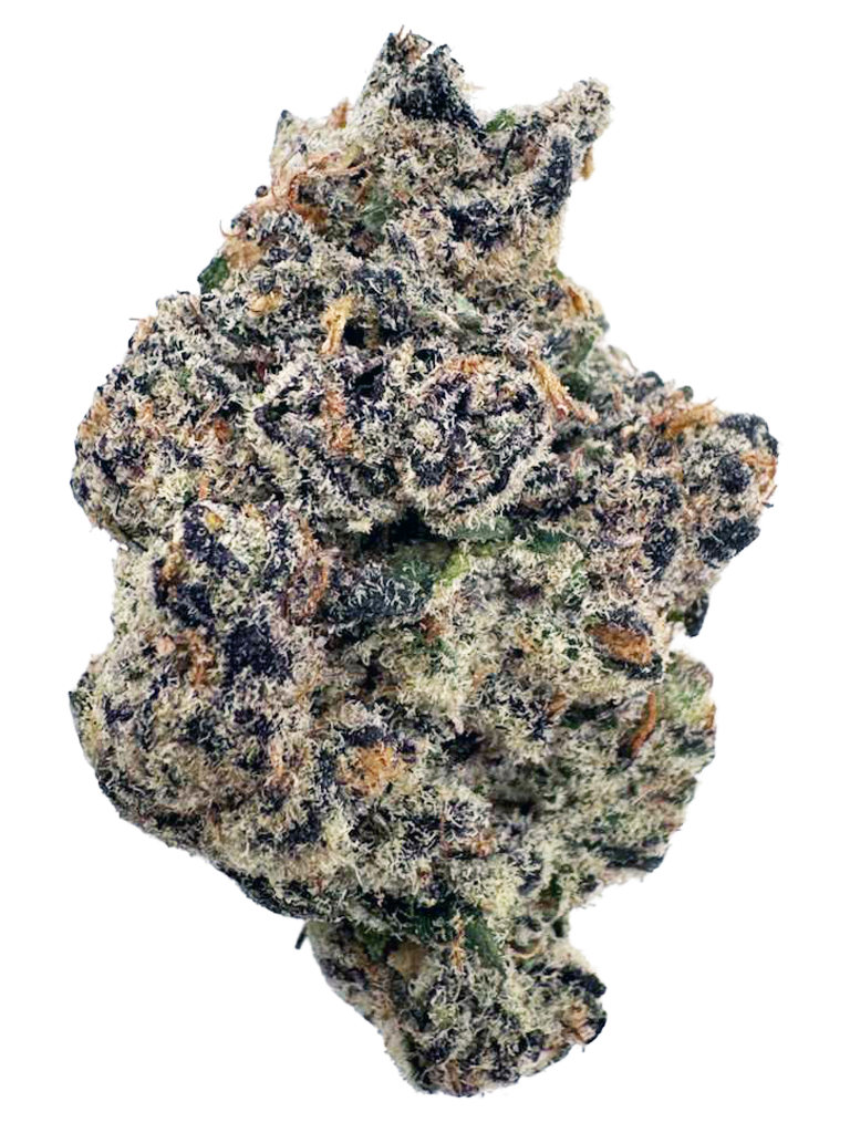 CANDY BREEZE - Animal Skittle x Biscotti Sherbert