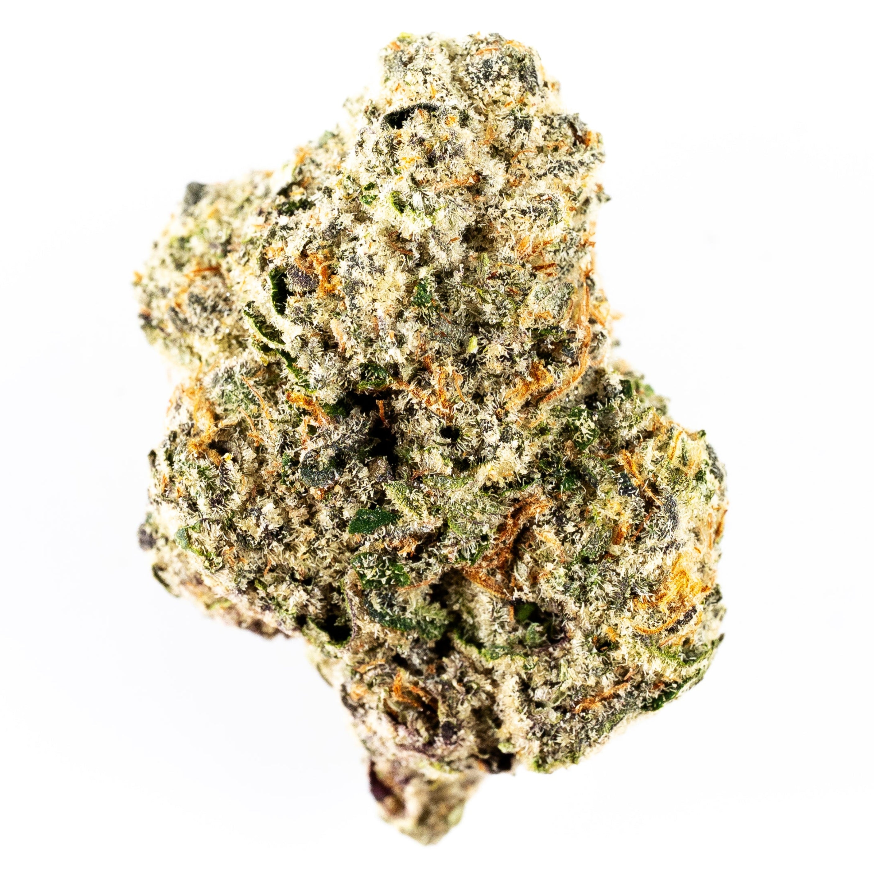 JOKERZ-(white runtz x jetfuel)