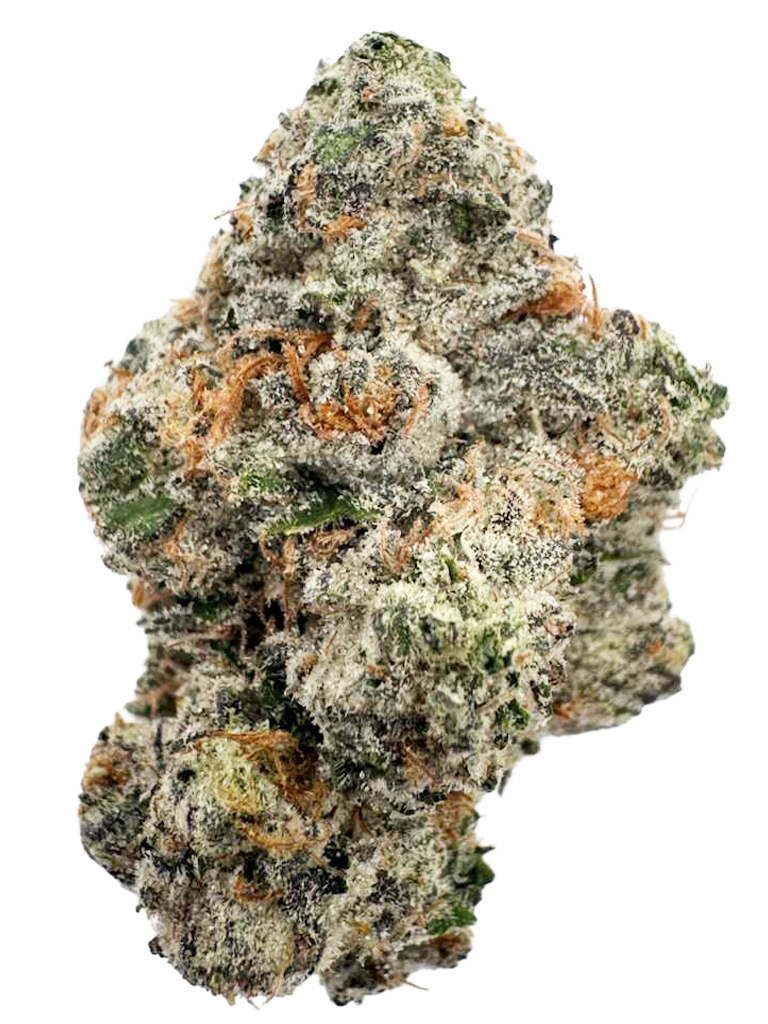 LEMON CHERRY PIE - Georgia Pie x Lemon Cherry Gelato