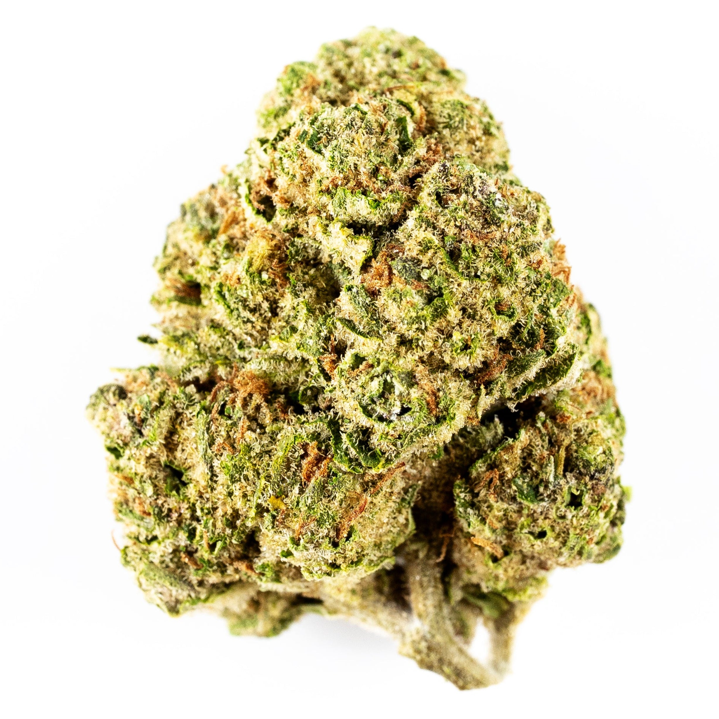 zello - strawberry fritter x zonuts x obama runtz (greenhouse)